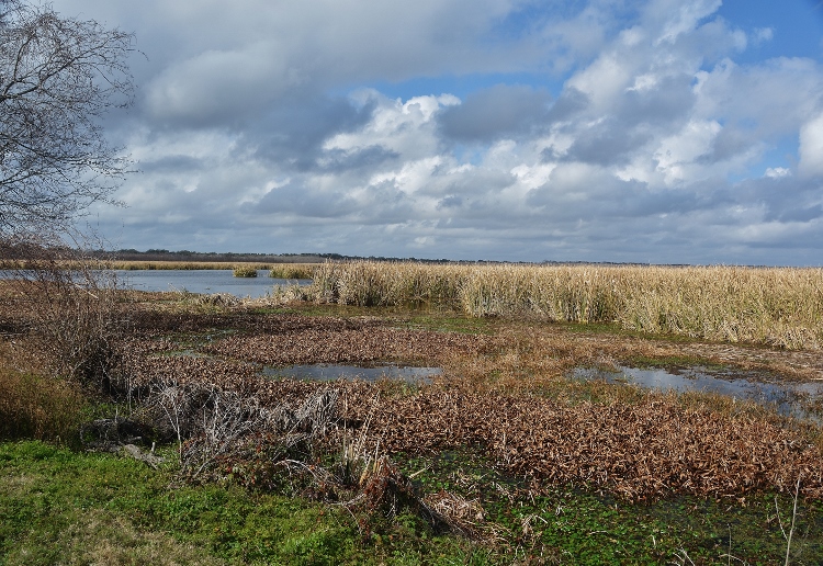 state park landscape